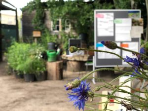 Reporting Biodiversität - Maßnahmen als KMU dokumentieren und berichten